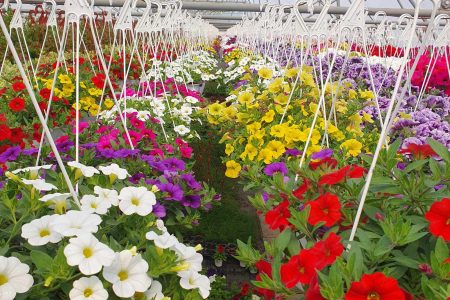 494866535_712057614642178_4784954740847737725_n