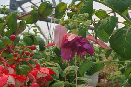 95a93e76-a52c-4cf0-a159-5ddae827d0cb